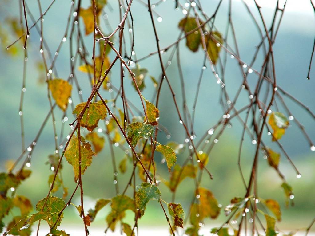 ���������� ���������� 23.10.2018