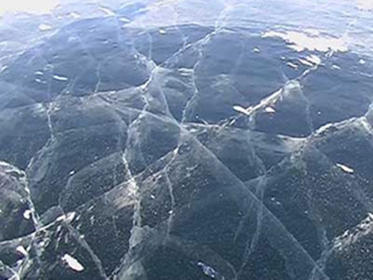 ������� ���������� �� 26.01.2019