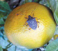 image015.gif
