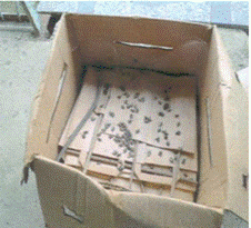 image017.gif