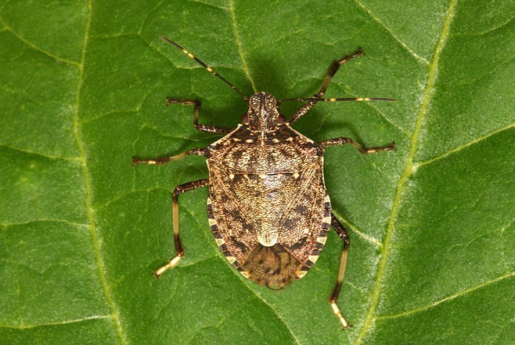 image002.png