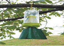 image007.gif